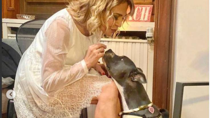 Barbara d'Urso cane