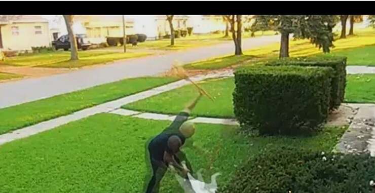 Uomo picchia brutalmente il cane con una scopa arrestato grazie ai vicini (Screen Video )