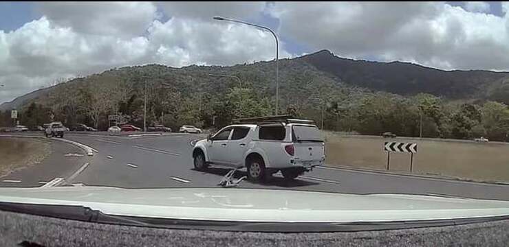  Cane cade fuori dalla vettura in movimento (Screen Video )