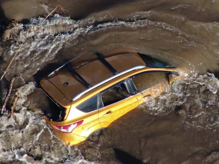 Donna e il suo cane travolti dall'acqua del fiume cercano aiuto (Foto Facebook)