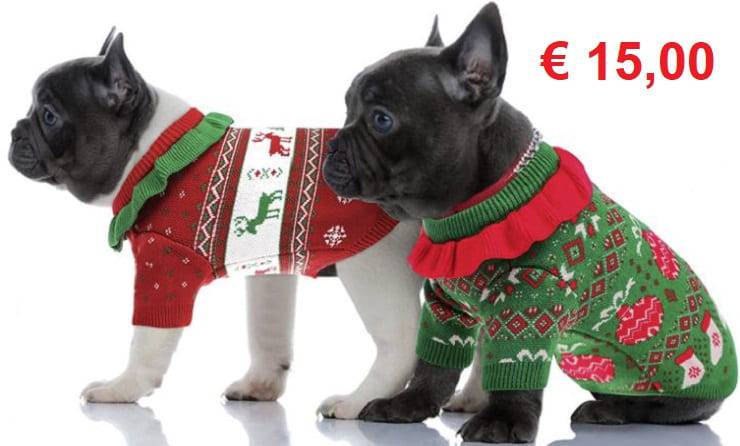 maglione natalizio cane