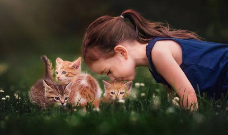 Bambina con gattini