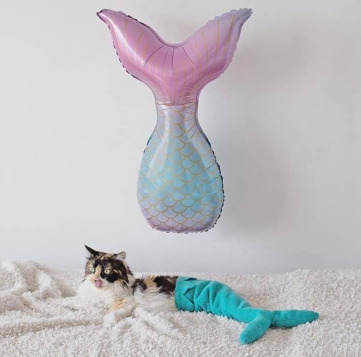 Sally con la coda da sirena (Screen Instagram)