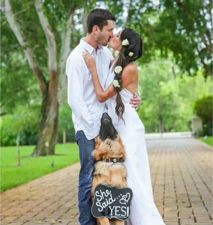 Sposi con cane (Screen Pinterest)
