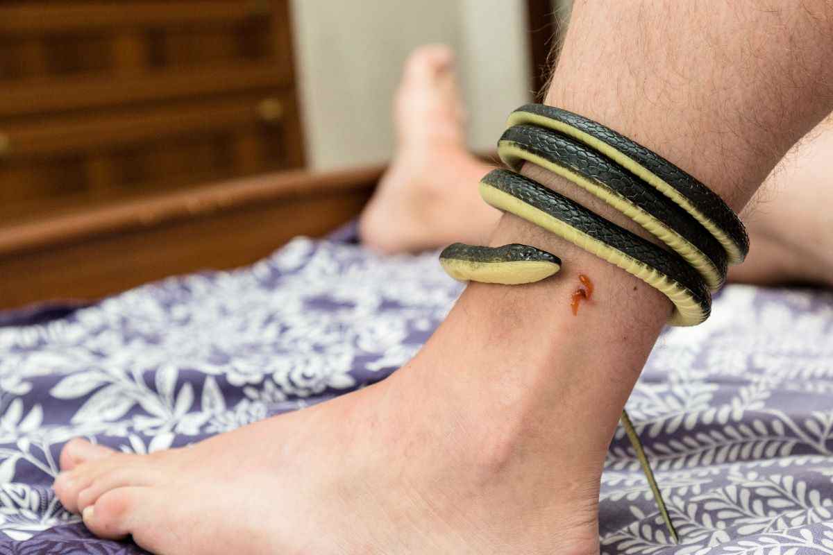 Serpente attorno alla gamba