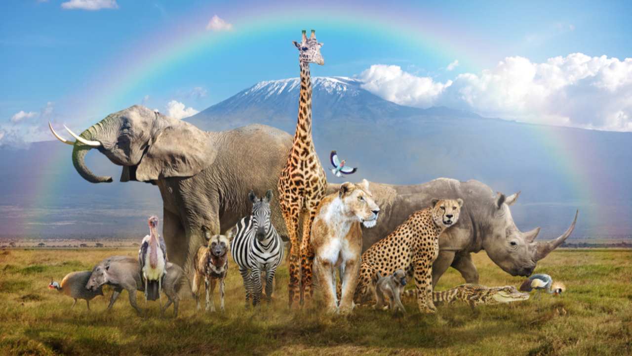 Insegnare ai bambini ad amare gli animali: ecco come fare