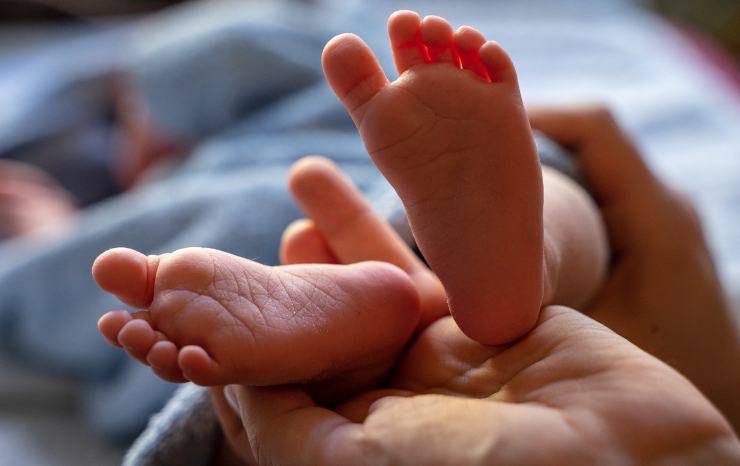 Piedi di un neonato (Foto Pixabay)