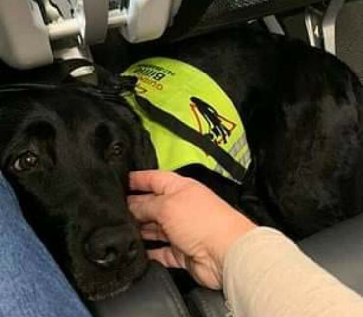 Donna non vedente con il cane guida a disagio durante un volo aereo