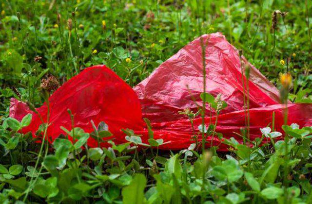 Cane salva bambino abbandonato in un sacchetto di plastica, è un eroe