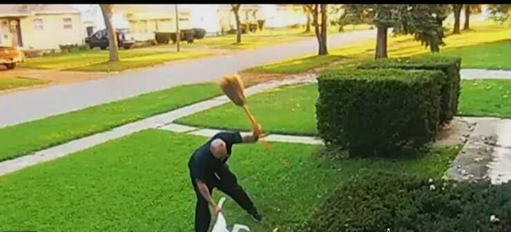 Uomo picchia brutalmente il cane con una scopa arrestato grazie ai vicini