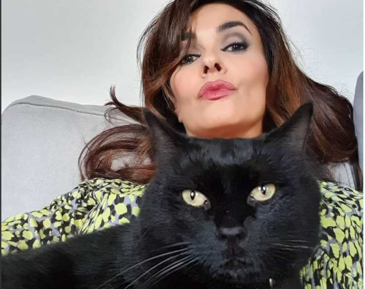 Maria Grazia Cucinotta: chi sono i suoi gatti