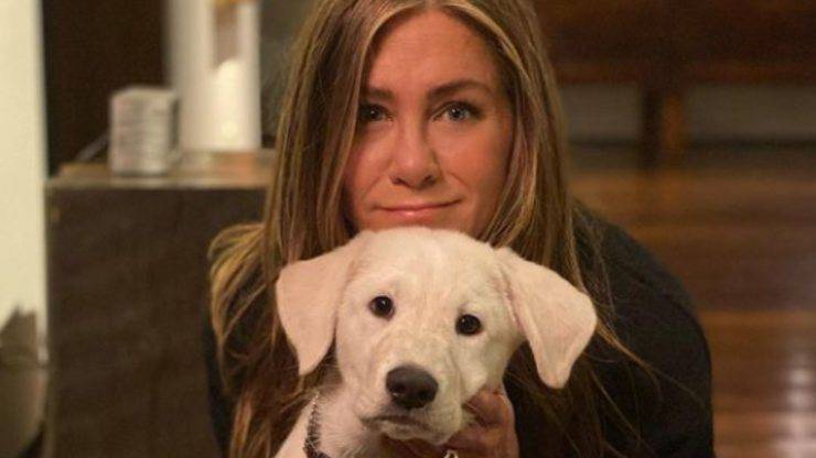 Jennifer Aniston cani