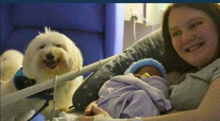 Donna partorisce in ospedale con il suo cane da terapia vicino al letto (Screen Facebook)