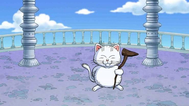 Gatto di Dragon Ball