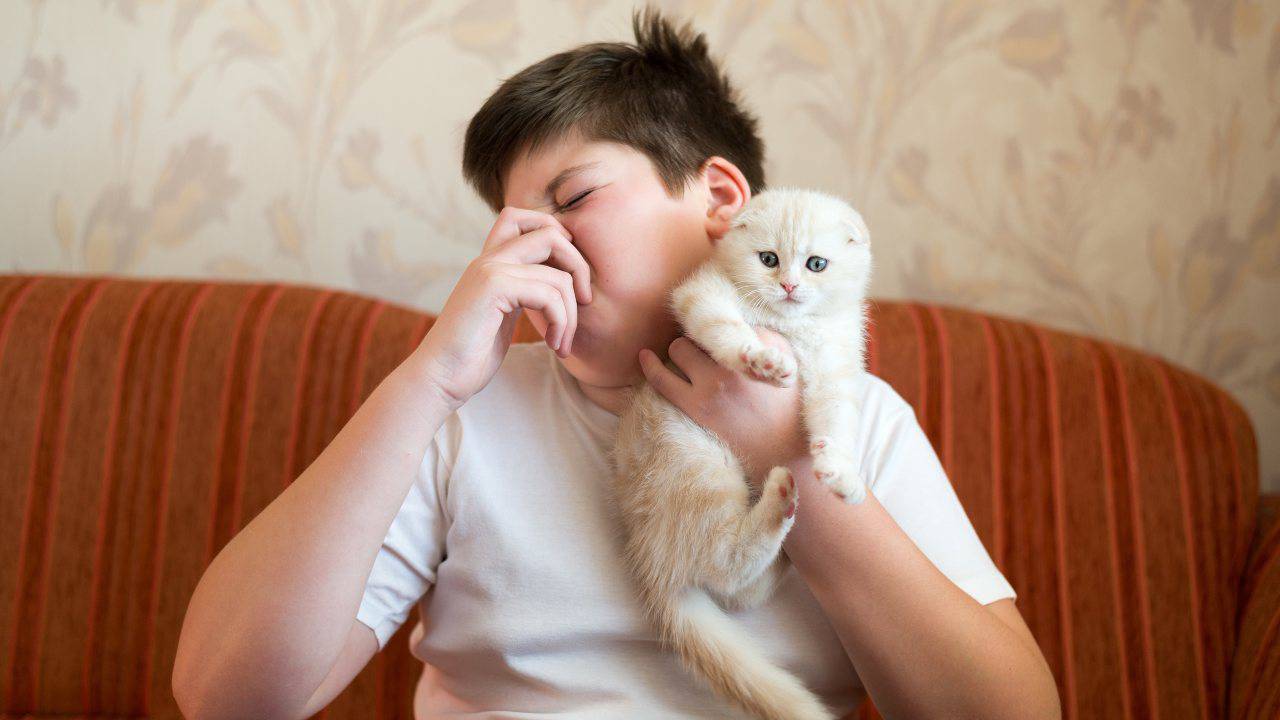 Deodorante per gatti fai da te