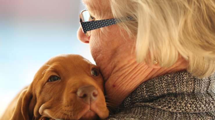 Anziana e cane