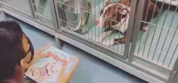Bimbo che legge per i cagnolini nei canili (Screen video)