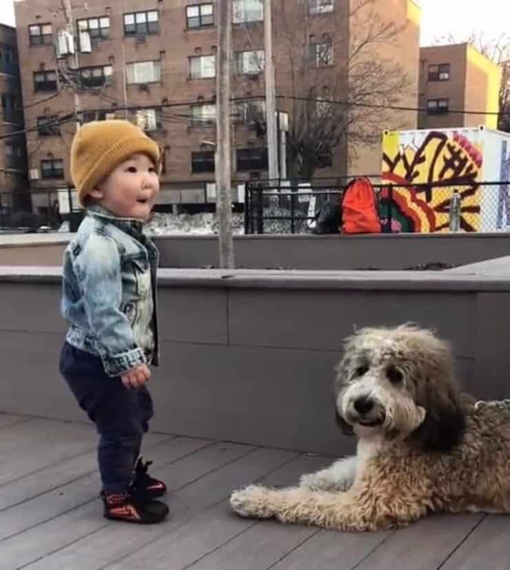 Bimbo incontra per la prima volta un cagnolino (Screen video)