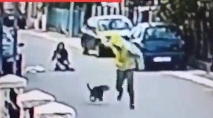 Cucciolo mette in fuga ladro (Screen video)