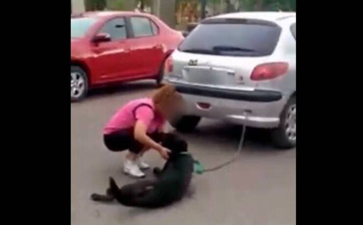 Donna trascina con l'auto il suo cane (Screen video)