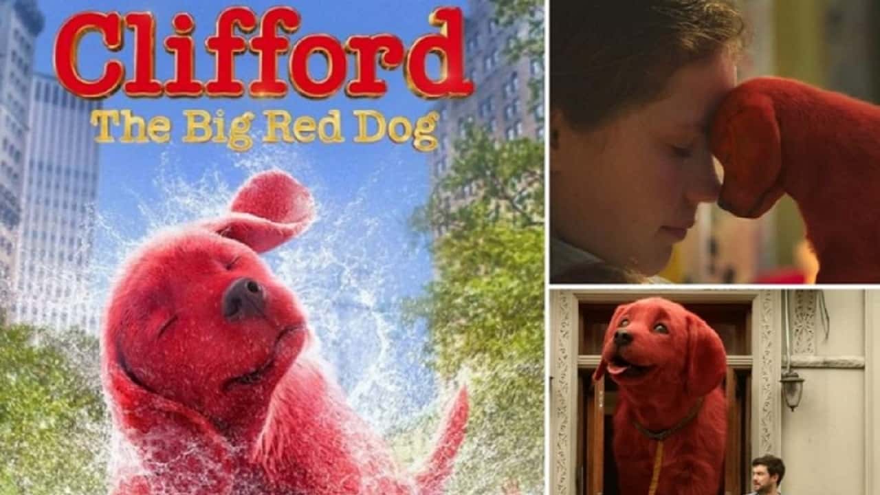 Cane Clifford - Il grande cane rosso: razza, caratteristiche e curiosità