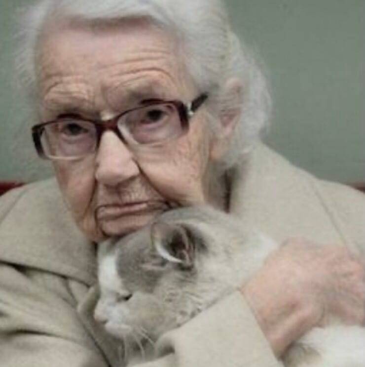 Una nonnina insieme al suo micino (Screen Pinterest)