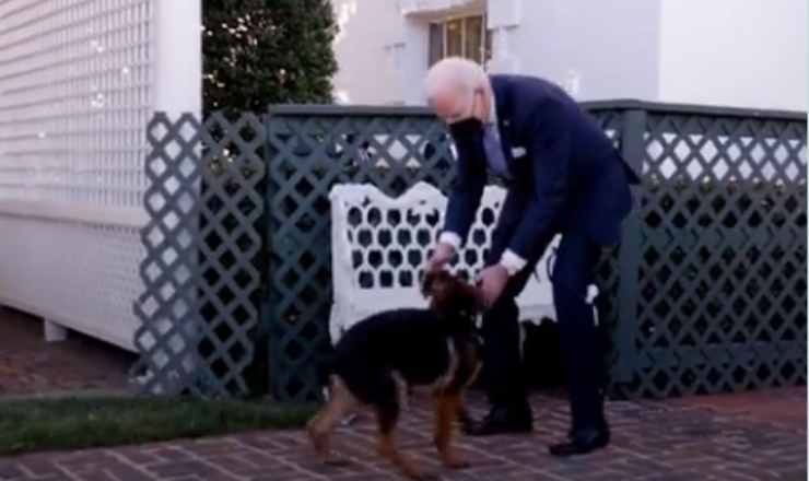 Biden e il cane (Foto Twitter)