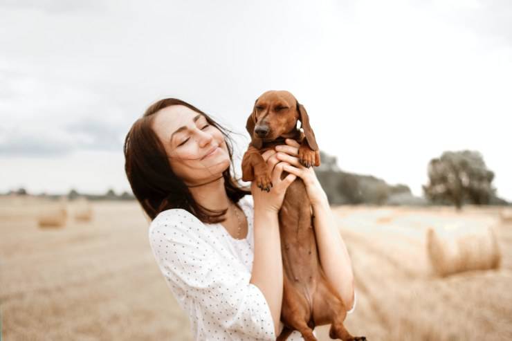 La possessività dei cani