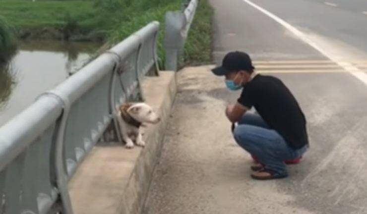 Il soccorritore e il cane (Foto video)