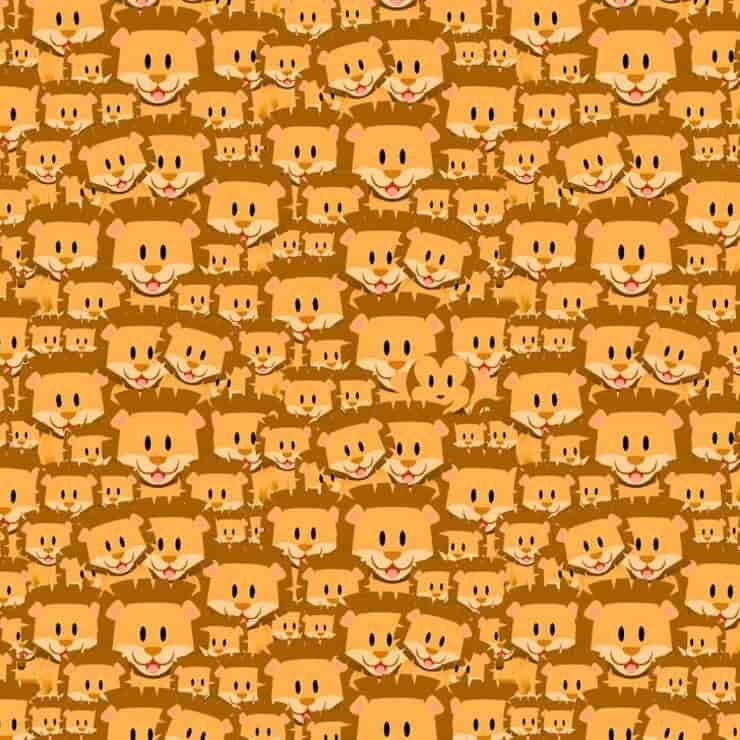 Il test visivo dell'intruso tra i leoni 