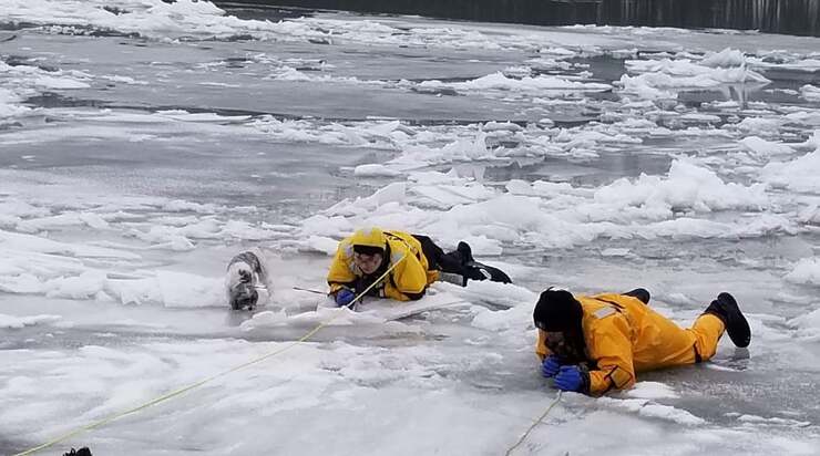 Il salvataggio del cane incastrato nel ghiaccio (Foto Facebook)