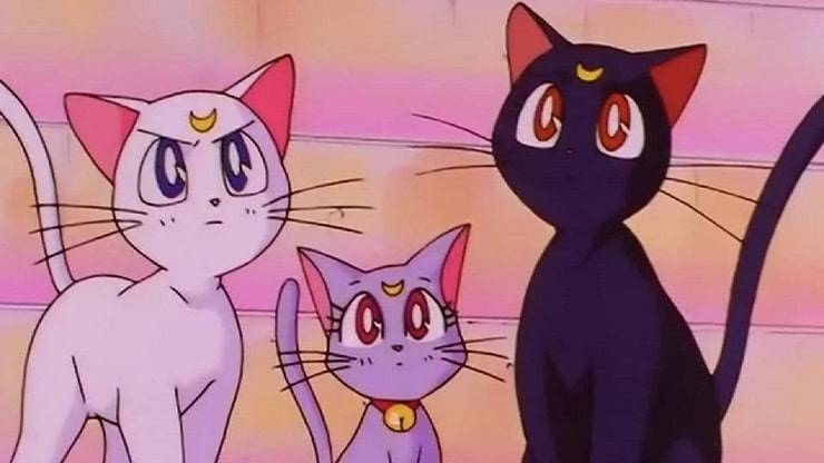 Gatto Sailor Moon