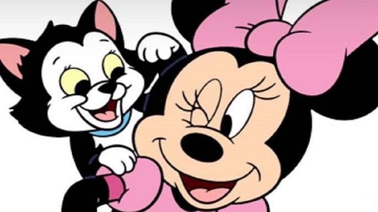 gatto di Minnie