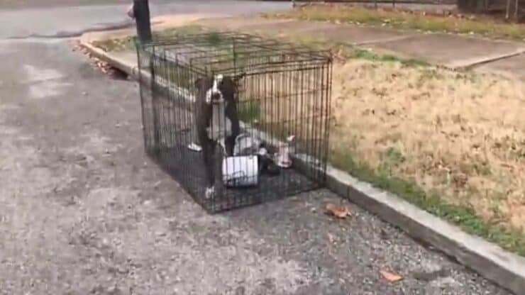 Bubbly (Screen video)