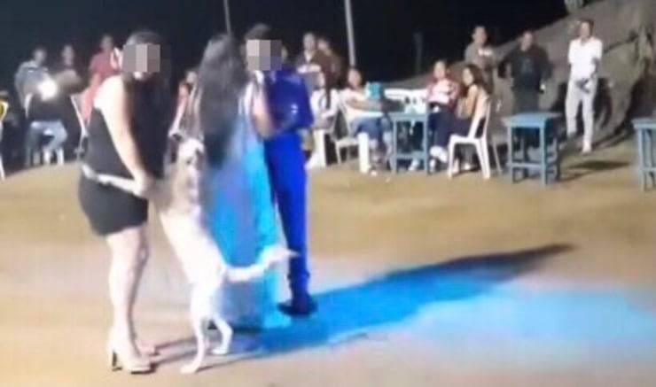 Il cucciolo è un bravissimo ballerino (Screen video)