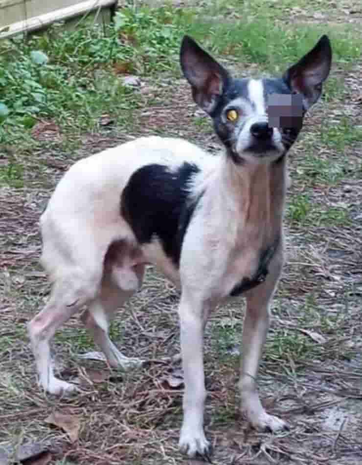 Il piccolo Martin (Screen Facebook)