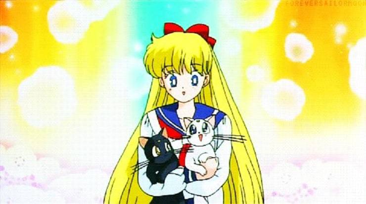 gatto grigio sailor moon