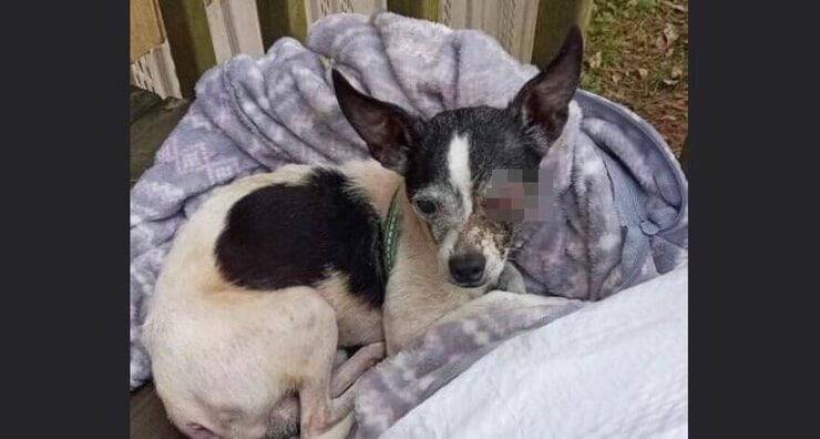 Martin (Screen Facebook)