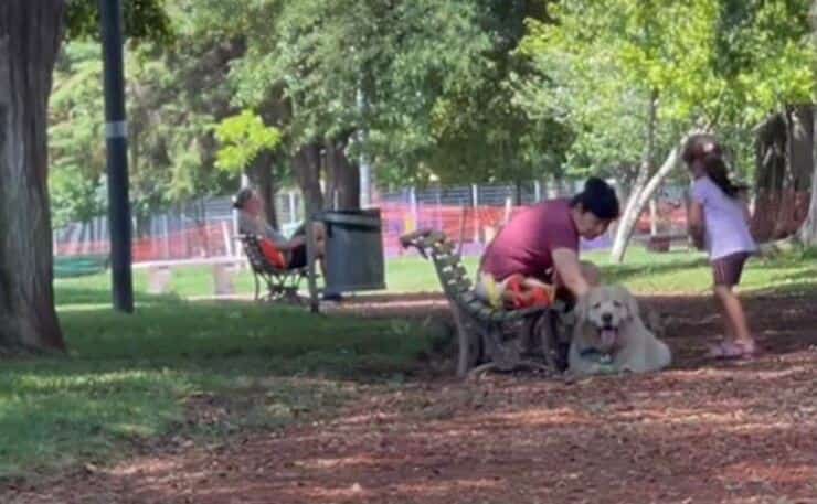 Oso sceglie una nuova famiglia per non andare via dal parco (Screen video)