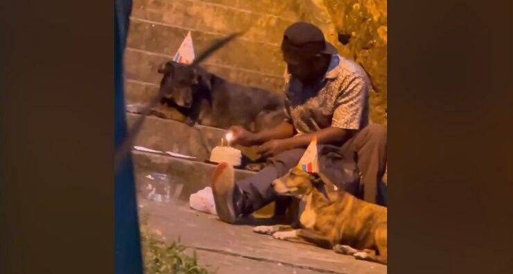 Niño sin hogar celebra el cumpleaños de su perro (captura de pantalla del video)