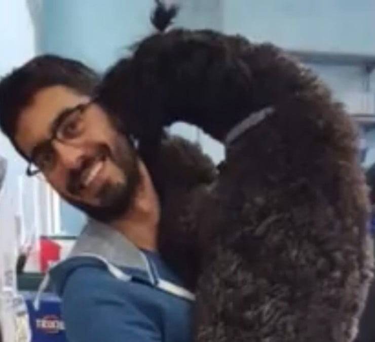 Toelettatore insieme al cagnolino salvato dall'arresto cardiaco (Screen video)
