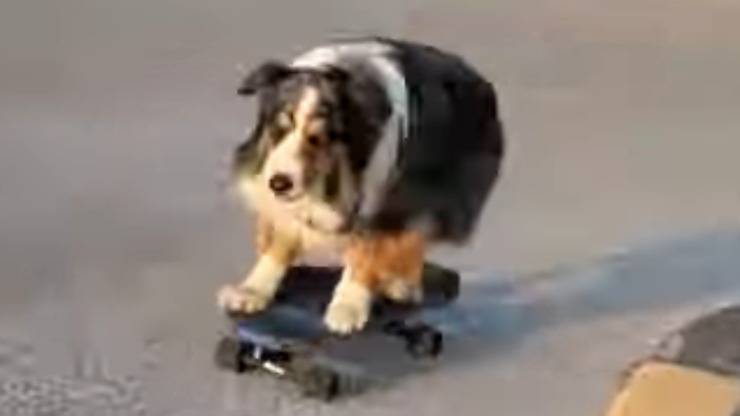 Passione e divertimento (Foto video)