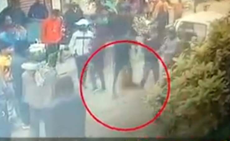 Cane attacca gli uomini che volevano rapire il suo proprietario (Screen Video)