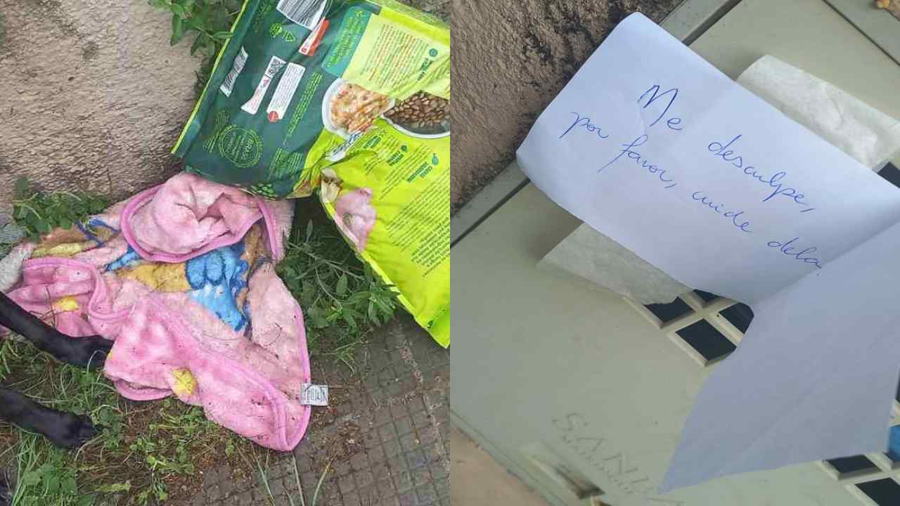 Donna trova un cane abbandonato con un biglietto davanti alla porta