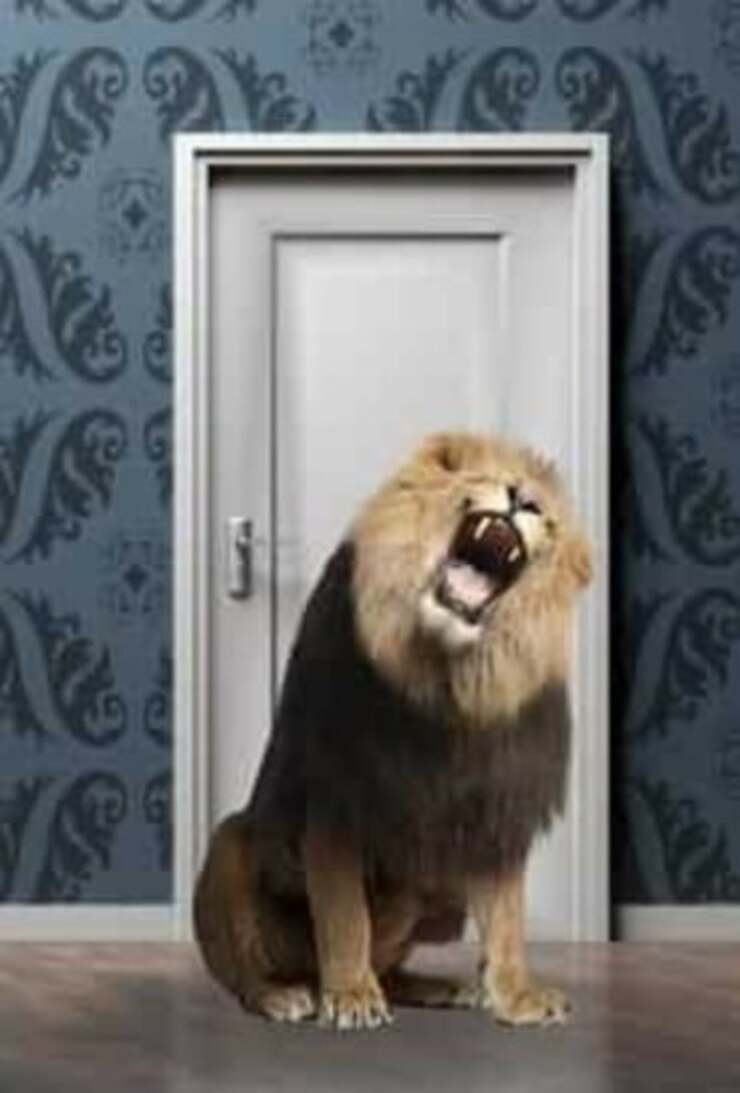 La porta del leone nel test visivo delle tre porte ( Foto Pixabay-Amore a 4 Zampe)