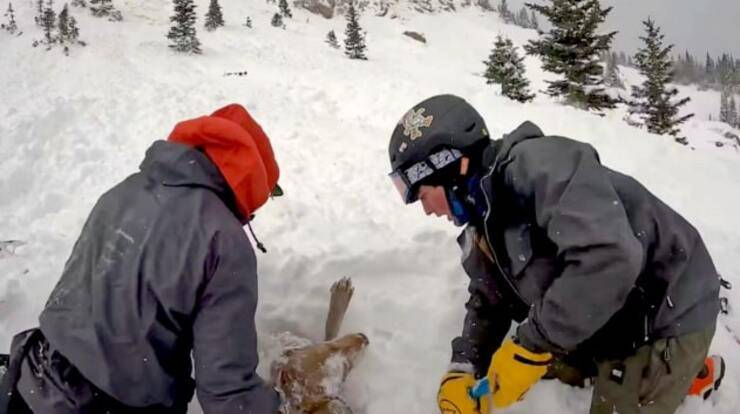 Il salvataggio del cane travolto dalla valanga (screen Video)