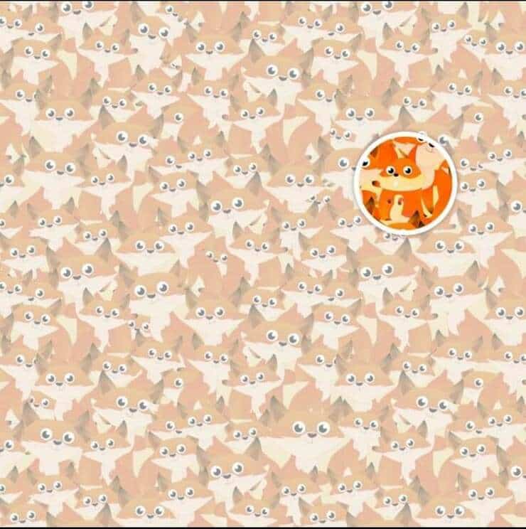 La soluzione del test visivo delle volpi 