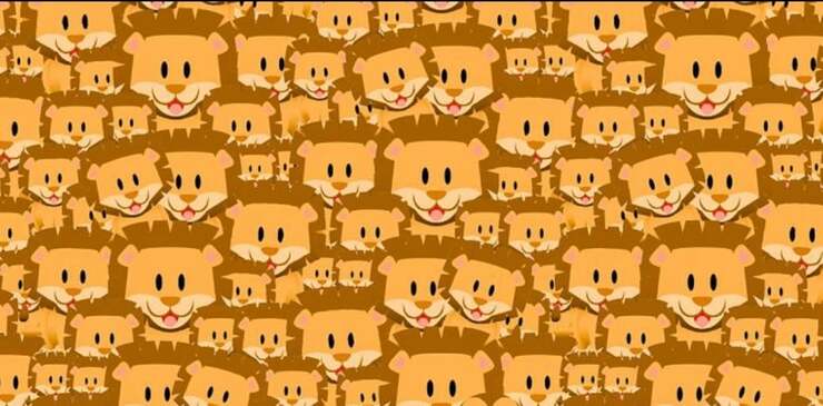 Il test visivo dell'intruso tra i leoni 