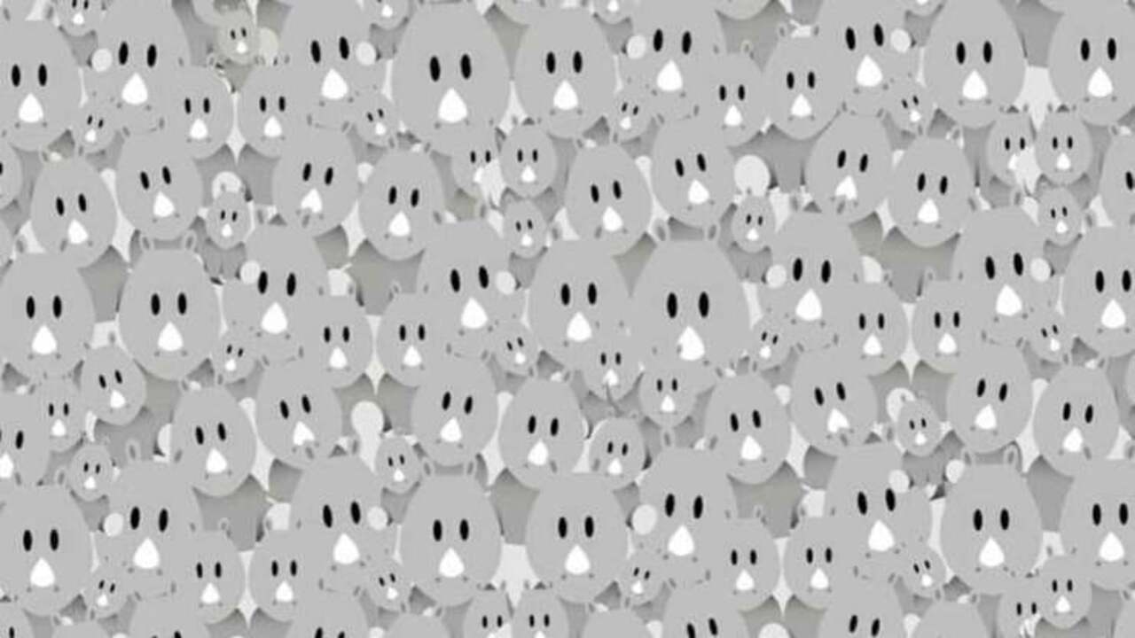 trova l'intruso animali - 6 Il test visivo dei 10 secondi: trova l'intruso nascosto tra i rinoceronti