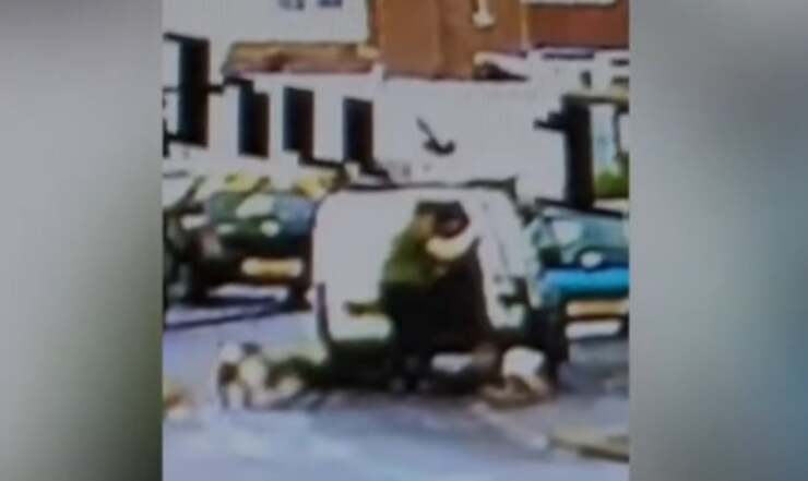 Uomo apre il furgone e scarica 7 cani abbandonandoli in strada (Video)